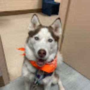 Meet your Posher, Shelly